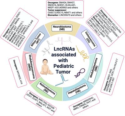 Roles of lncRNAs in childhood cancer: Current landscape and future perspectives